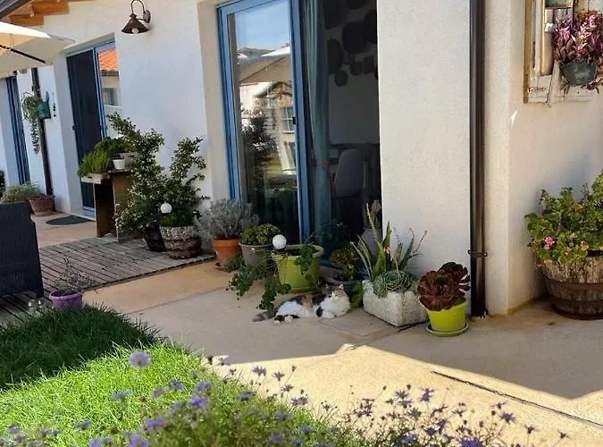 Torremana Vendégház Càbras