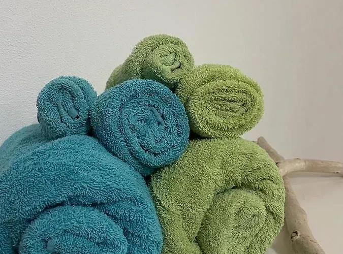 Gasthuis Torremana Càbras